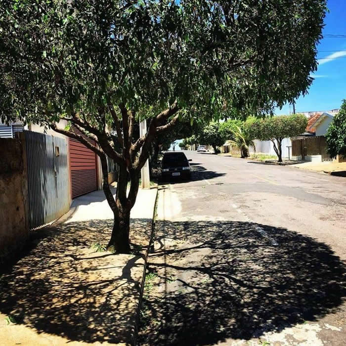 Tree's shadow - Perfectly Aligned Photos