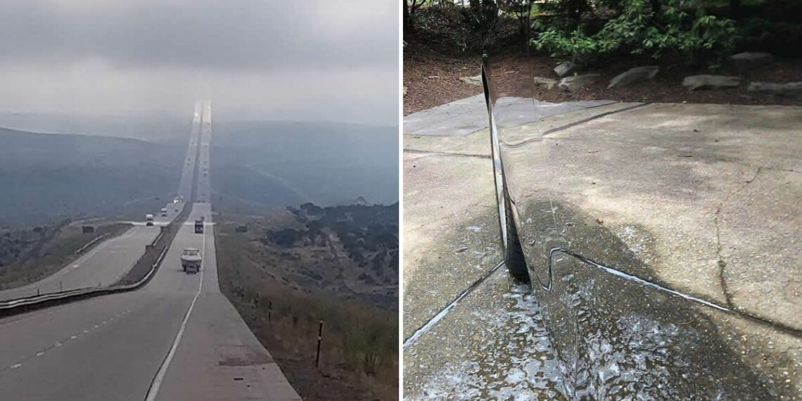 100% Real Photos and not photoshopped