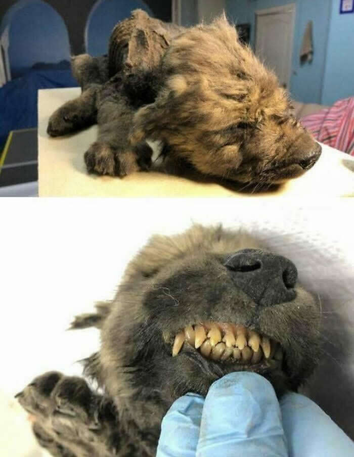 Powerful Historical Photos