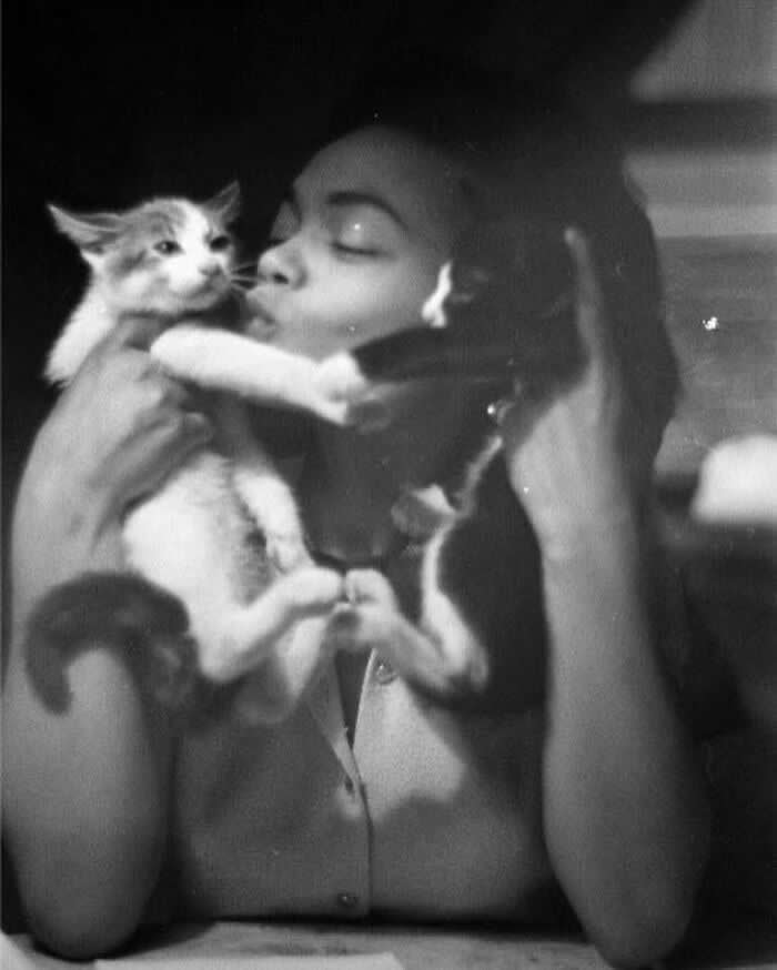 Eartha Kitt With Kitties, 1952 - Rare and Weird History Photos