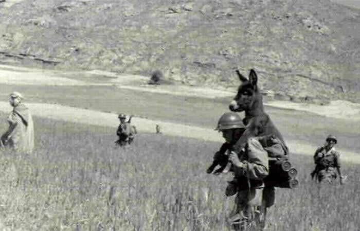 From Algerian War (1958)… A French Foreign Legion Soldier Carried A Starving Donkey - Rare Historical Photos Stories Behind the Past