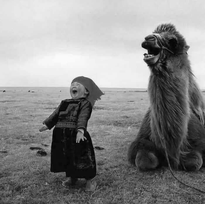 A Mongolian Girl Having A Laugh With Her Camel - Rare Historical Photos Stories Behind the Past