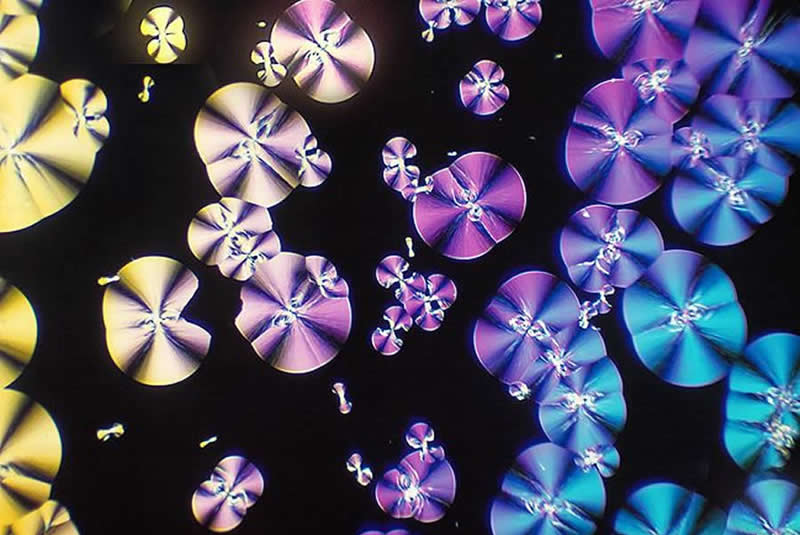 The Royal Photographic Society Awards 2025