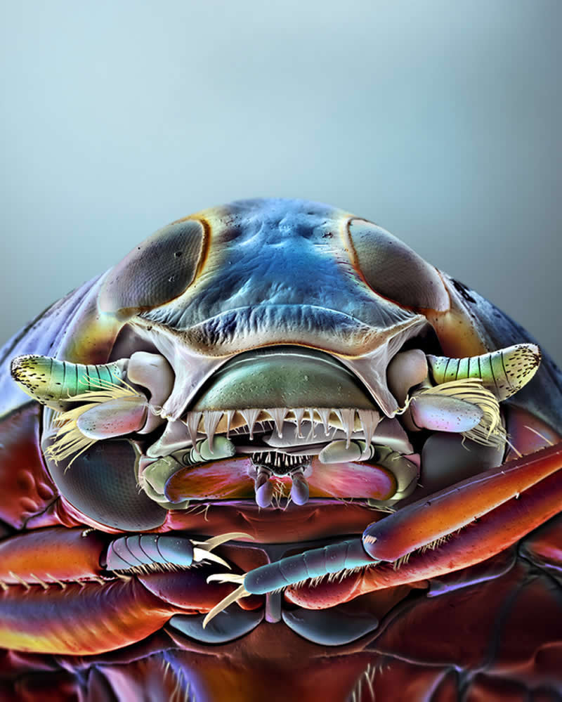 The Royal Photographic Society Awards 2025