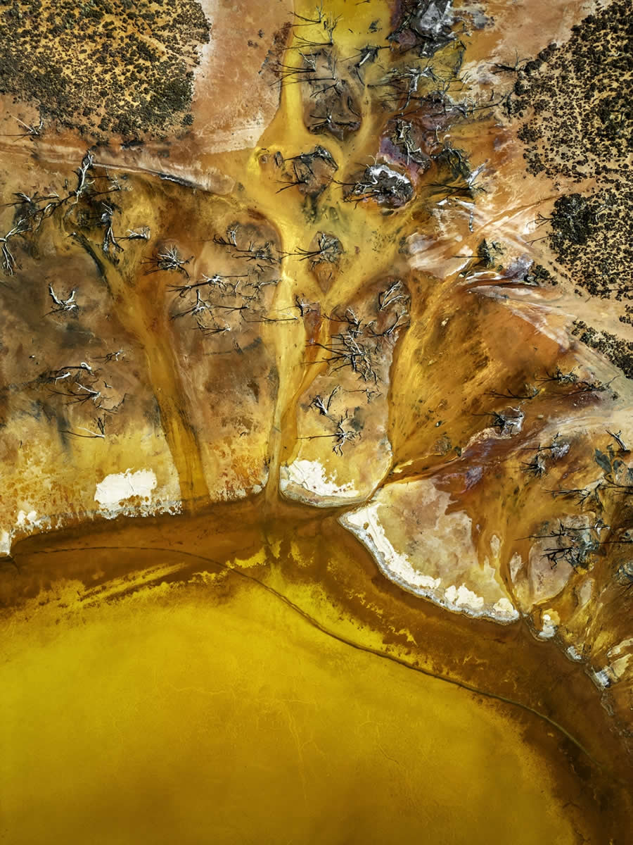 Siena Drone Photo Awards 2025 Winners