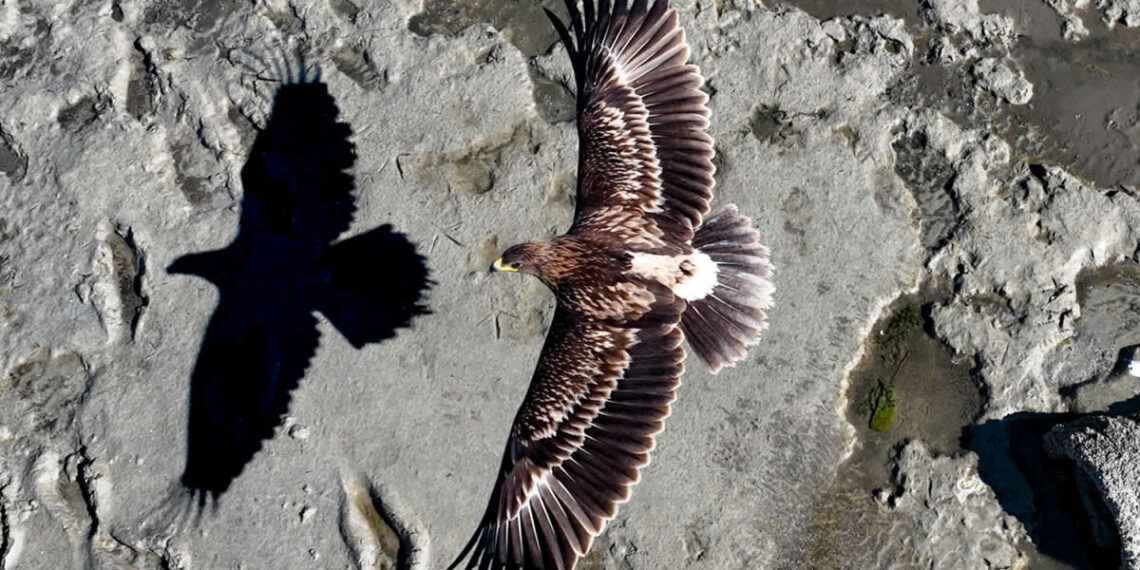 Award-Winning Photos from the Siena Drone Photo Awards 2025