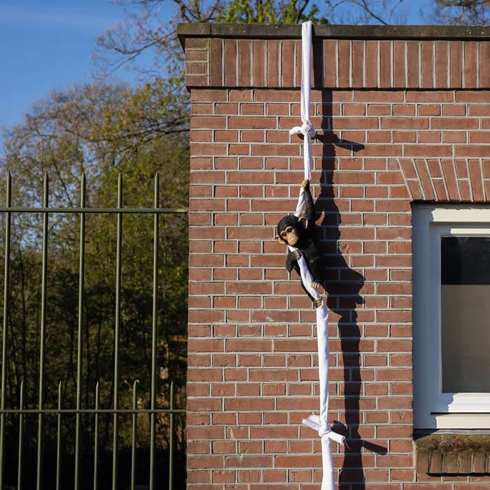 Street Art Works by Frankey