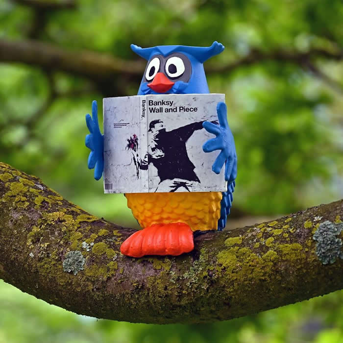 Street Art Works by Frankey