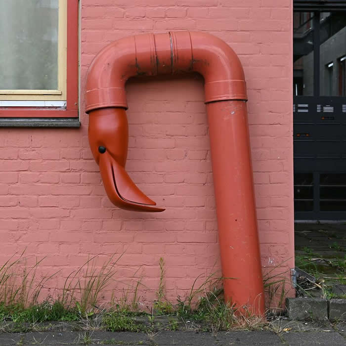 Street Art Works by Frankey