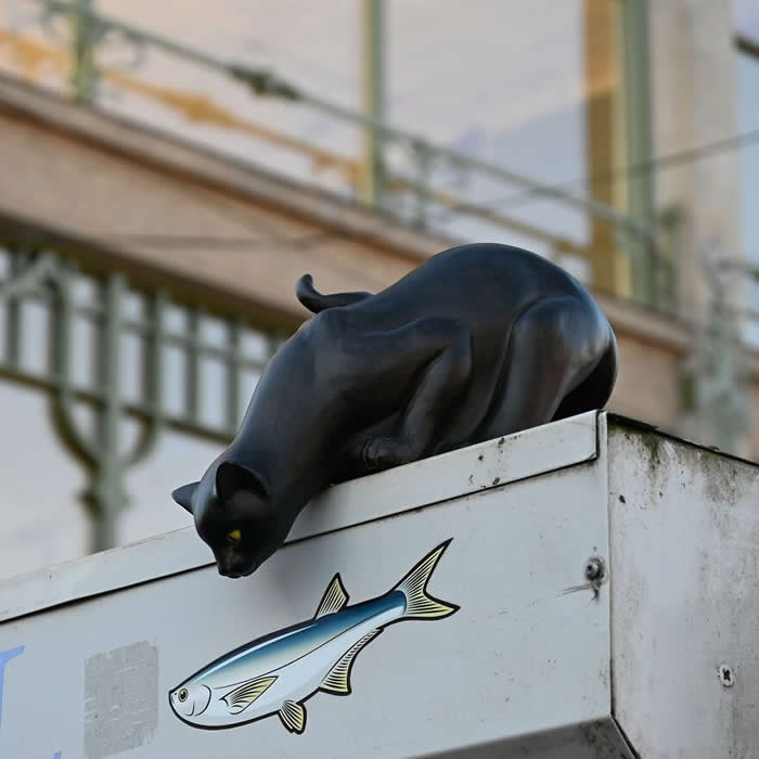 Street Art Works by Frankey