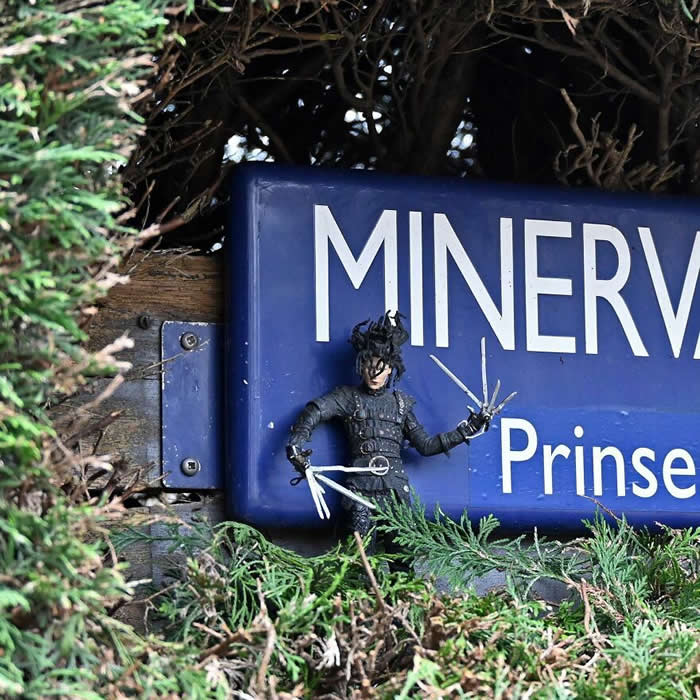 Street Art Works by Frankey