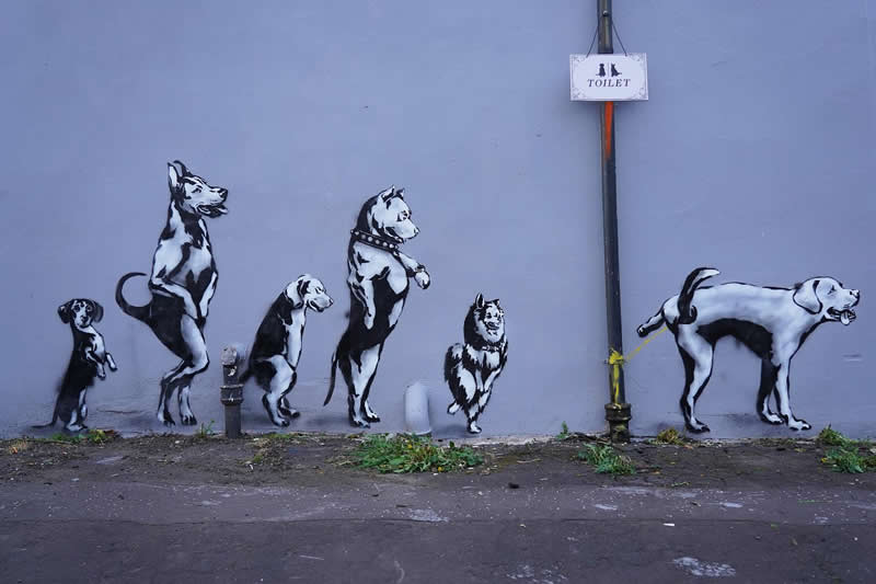 Stunning Street Artworks That Turn Social Issues Into Visual Poetry