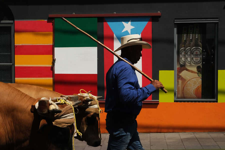 Street Photography by Brad Jones