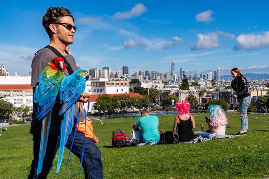 Street Photography by Eric Davidove