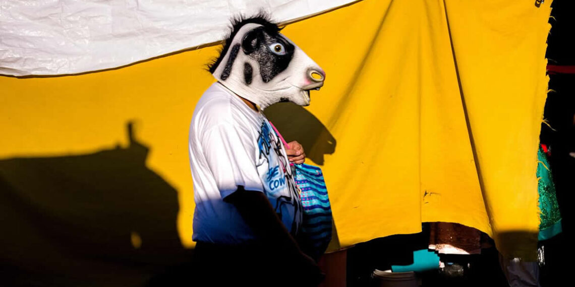 Street Photography by Eric Davidove