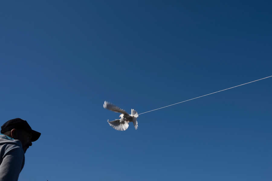 Street Photography by Gerry Orkin