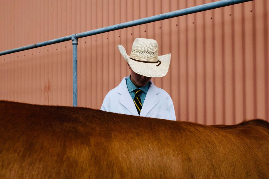 Street Photography by Gerry Orkin