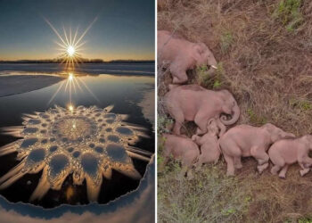 Stunning Rare Photos of Nature