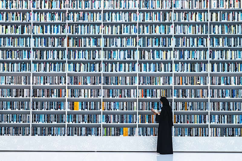 In the Library by Alireza Pourkhan, United Arab Emirates - Artist Gallery Awards 2025 Minimalist Winners