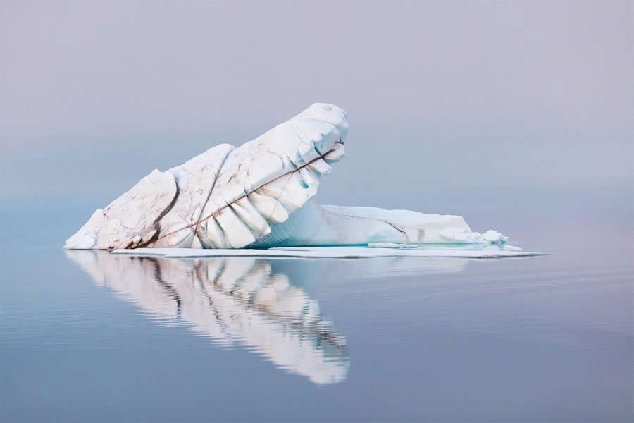 Arctic Quiet Majesty by Julieanne Kost