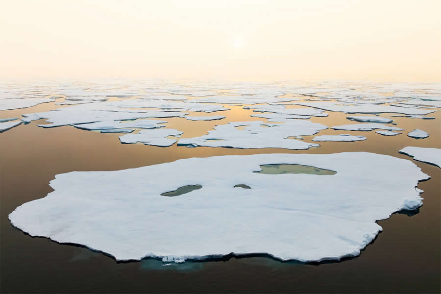 Arctic Quiet Majesty by Julieanne Kost