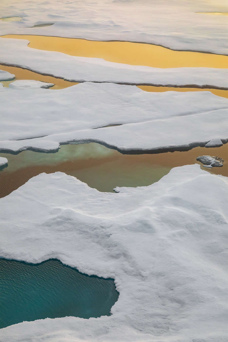 Arctic Quiet Majesty by Julieanne Kost