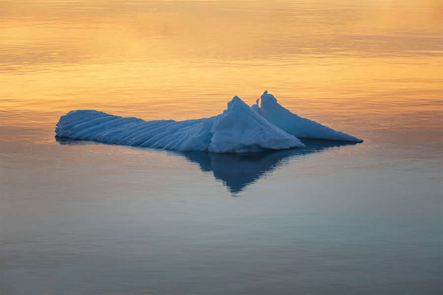 Arctic Quiet Majesty by Julieanne Kost