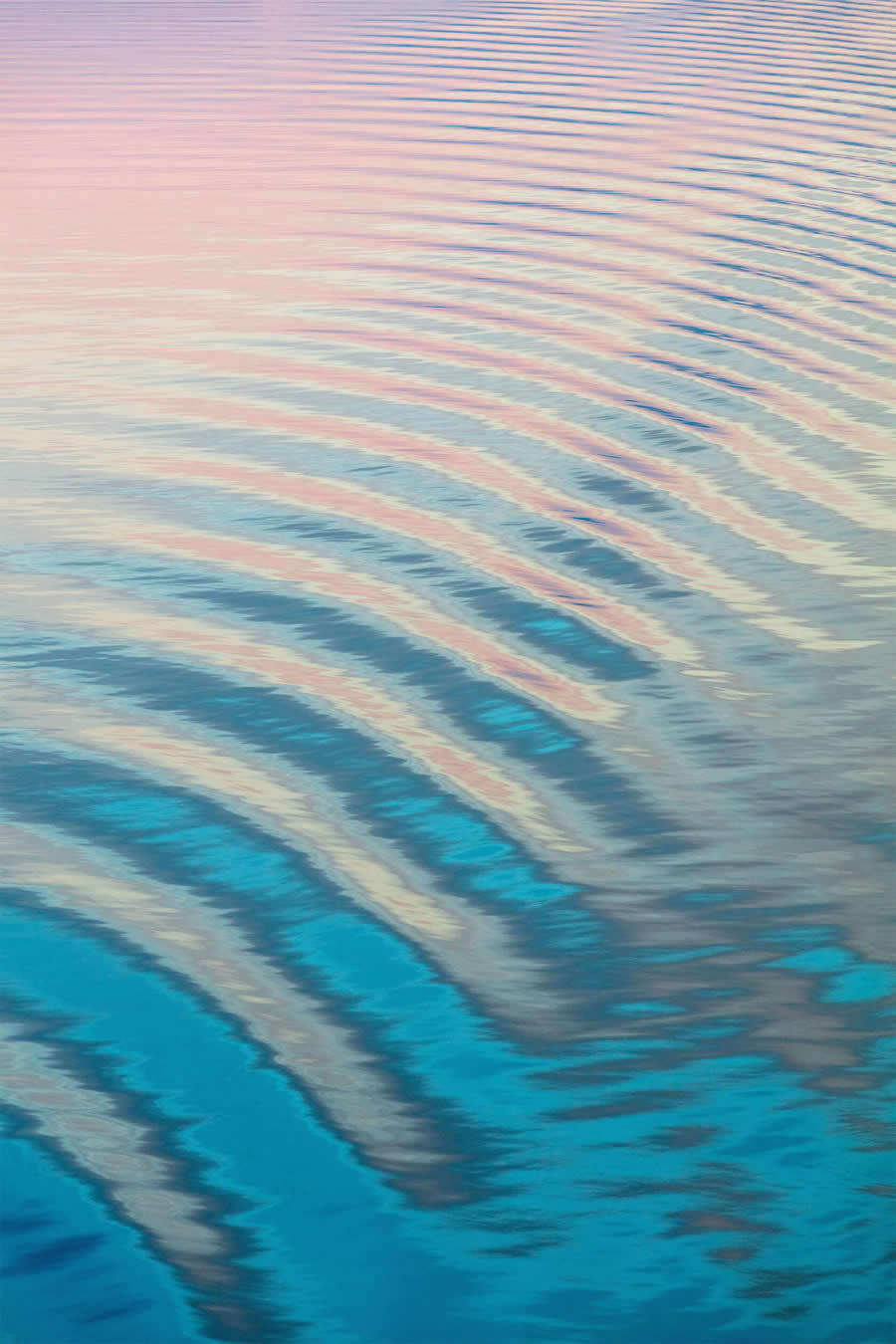 Arctic Quiet Majesty by Julieanne Kost