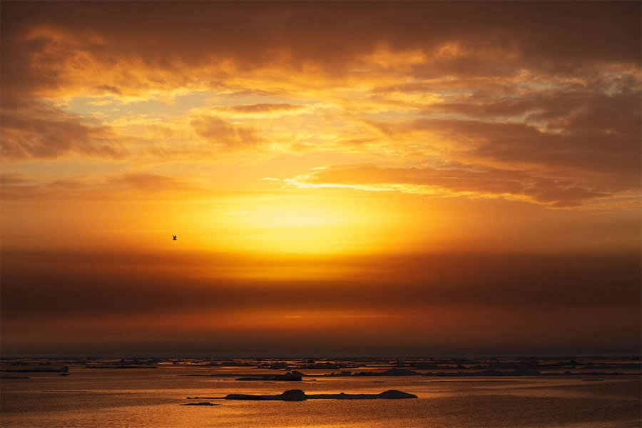 Arctic Quiet Majesty by Julieanne Kost