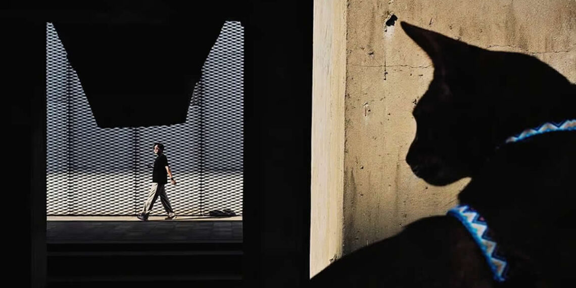 Independent Photographer Awards 2025 Street Winners