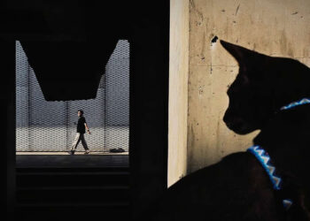 Independent Photographer Awards 2025 Street Winners