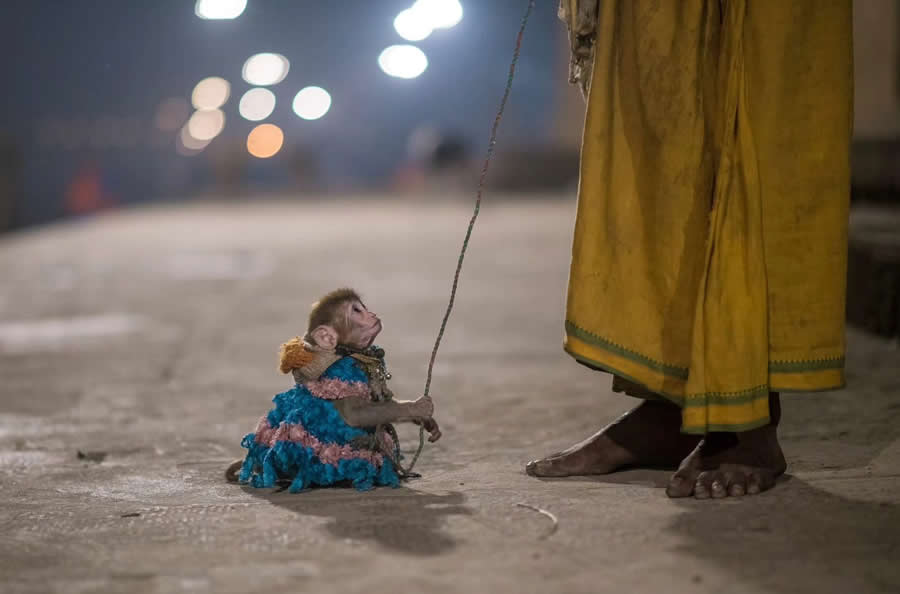 Varanasi Indian Photography by Guru Charan
