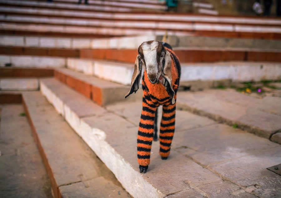 Varanasi Indian Photography by Guru Charan
