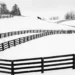 A lone horse running across a snow-covered farm with winding black fences