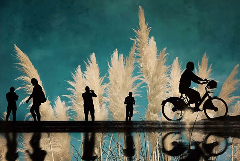 Artistic Street Photos by Yalım Vural