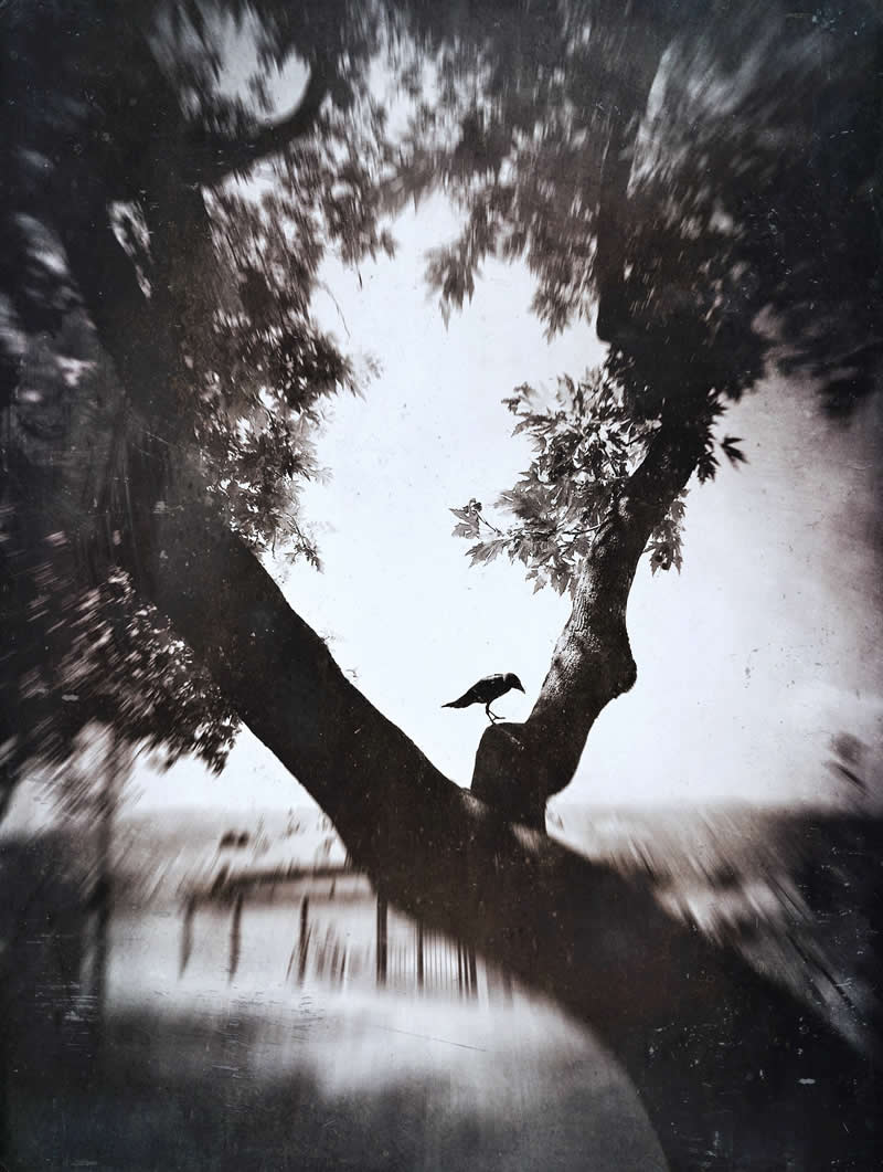 Artistic Street Photos by Yalım Vural