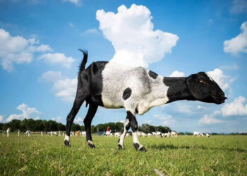 Street Photographers You Should Be Following Today