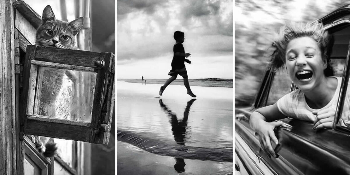 26 Black-and-White Everyday Moments That Prove Life Is Pure Poetry