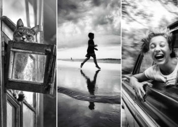 26 Black-and-White Everyday Moments That Prove Life Is Pure Poetry