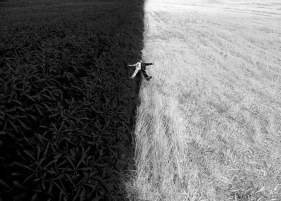 Minimalist Fine Art Photography by Ali Zolghadri