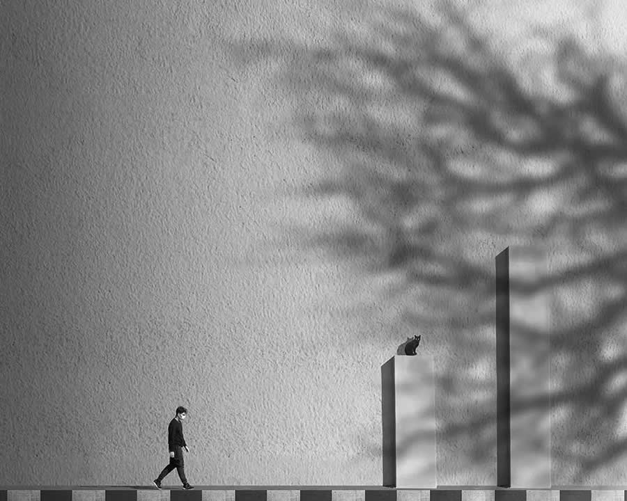 Minimalist Fine Art Photography by Ali Zolghadri