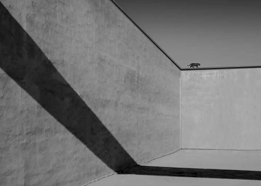 Minimalist Fine Art Photography by Ali Zolghadri