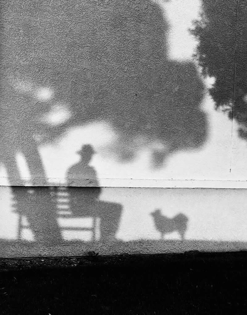 The Bench with Shadow Dog by Tony Hertz - Black and White Winners from the Mobile Photography Awards