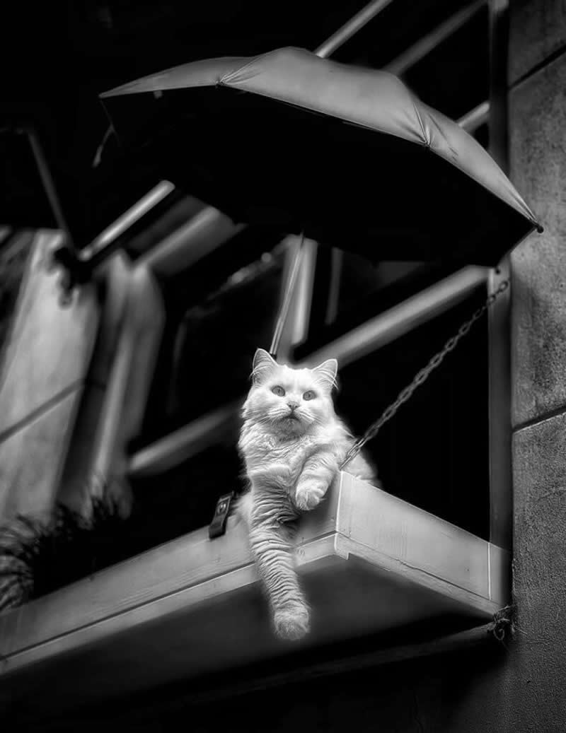 Her Royal Highness by Arnold Plotnick - Black and White Winners from the Mobile Photography Awards