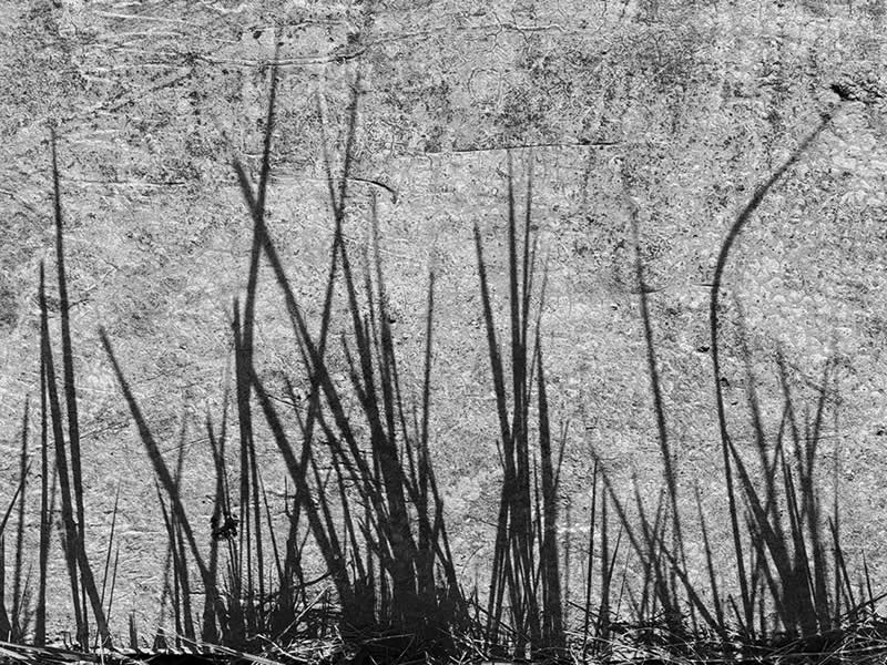 Shadows by Benny Lau - Black and White Winners from the Mobile Photography Awards