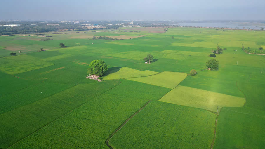 Drone Photos of Chennai by Lakshmi Narayanan