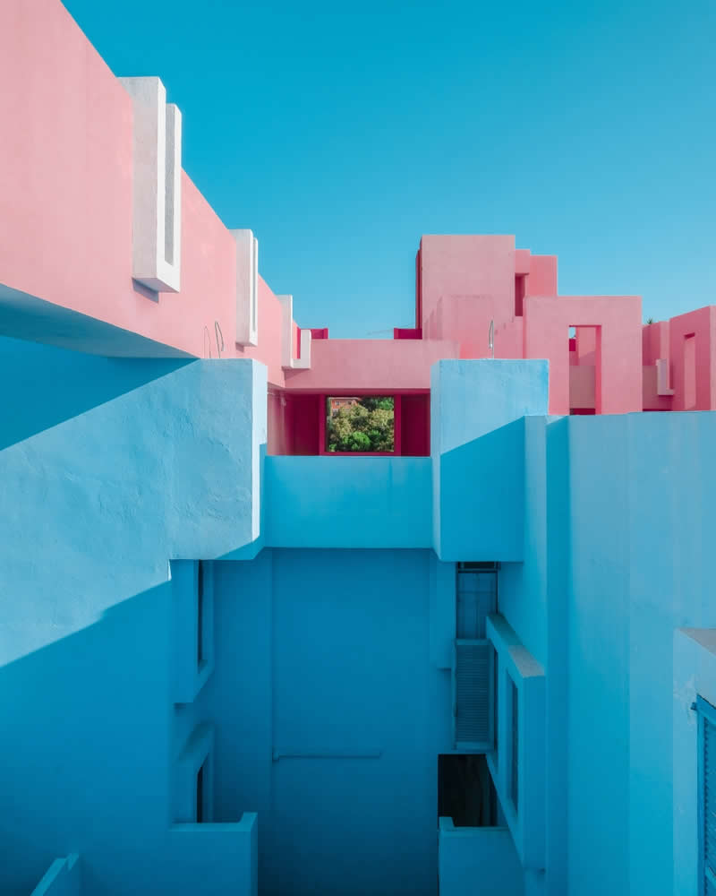 2025 Chromatic Awards - Abstract, 1st Place winner: MidSummer Day&rsquo;s Dream by Gary Ng, Hong Kong