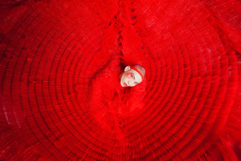 2025 Chromatic Awards - Fashion and Beauty, 1st Place winner: Crimson Blossom by Bochun Cheng, United States