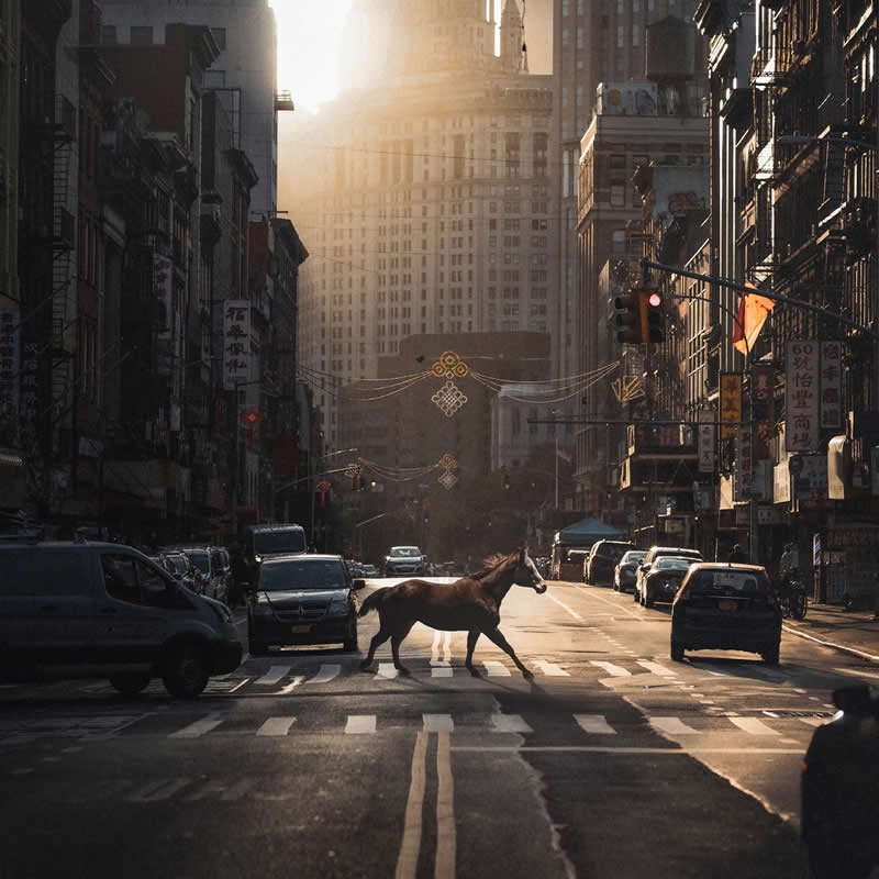 2025 Chromatic Awards - Photomanipulation, 1st Place winner: Lost by Zoltan Toth, Hungary