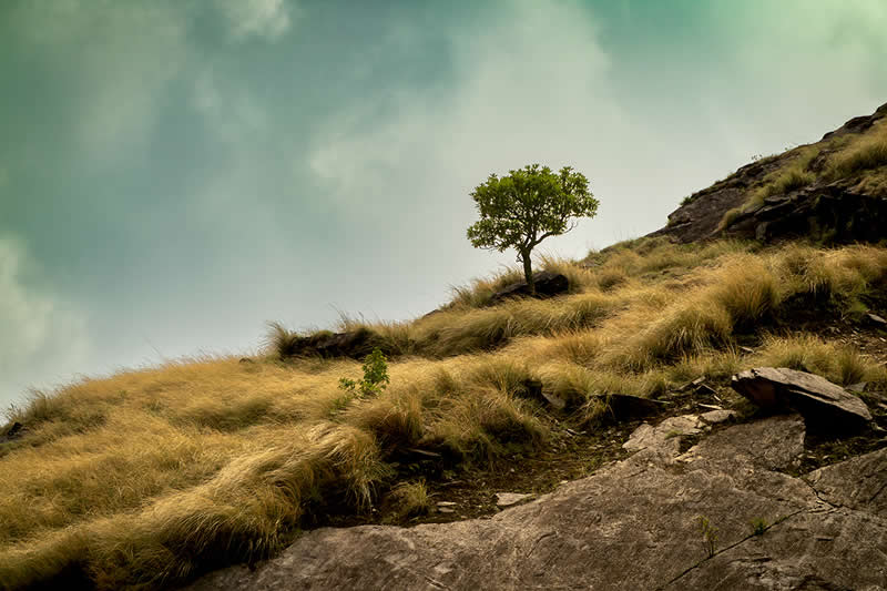 Before the Storm by Bhaskar Sitholey, India - 2025 Chromatic Awards Landscape Winners